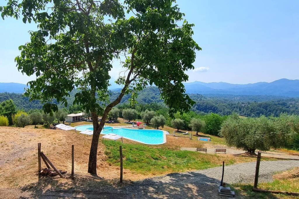 Appartamento La Mimosa Monti di Licciana Nardi Esterno foto